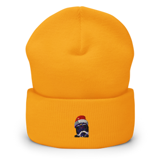 Flava107.Com 43004719 Cuffed Beanie | Yupoong 1501KC