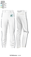Carolina Comets 9253748 Baseball Pants - 6