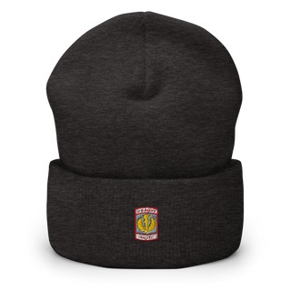 Lewis County Lions 17232794 Cuffed Beanie | Yupoong 1501KC