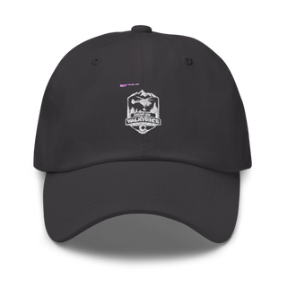 D CO, 3/140th AVN Classic Dad Hat | Yupoong 6245CM