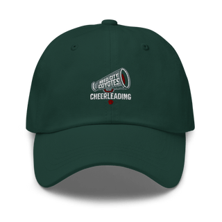 Reed City Coyotes 1554644 Classic Dad Hat | Yupoong 6245CM