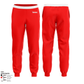 Airblastoff Lions 14236654 Joggers - 4