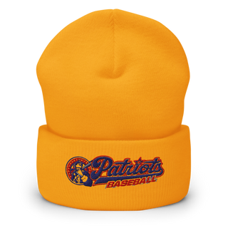 Lenape Valley Patriots 53127834 Cuffed Beanie | Yupoong 1501KC