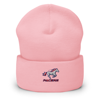 Plaza Park 7264543 Cuffed Beanie | Yupoong 1501KC