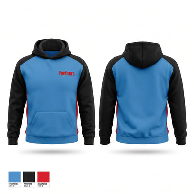Panthers Hoodie - 2