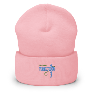 New Castle Recreation 75363160 Cuffed Beanie | Yupoong 1501KC