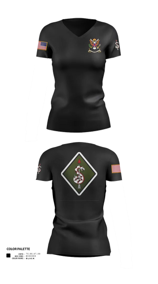 Womens Short Sleeve Vneck Shirt, , National Guard, Teamtime, Team time, sublimation, custom sports apparel, team uniforms, spirit wear, spiritwear, sports uniforms, custom shirts, team store, custom team store, fundraiser sports, apparel fundraiser