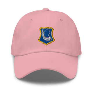 C-Co. 1-181st 51621268 Classic Dad Hat | Yupoong 6245CM