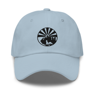 208 Transportation Company 94479647 Classic Dad Hat | Yupoong 6245CM