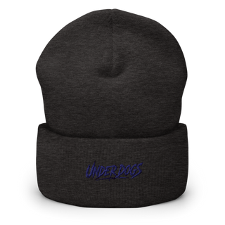 156 ESB C co 2nd Platoon Cuffed Beanie | Yupoong 1501KC