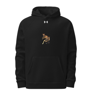31K 16297588 Under Armour Hoodie
