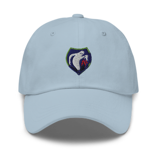 340th Psyop Co. 52894625 Classic Dad Hat | Yupoong 6245CM