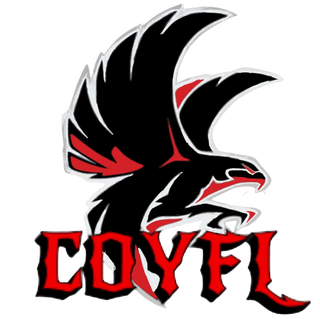 Carteret-Onslow Youth Football & Cheer League (COYFL) Falcons 65584238 Stainless Steel Water Bottle with a Straw Lid