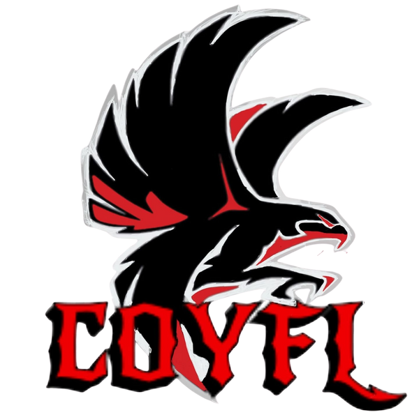 Carteret-Onslow Youth Football & Cheer League (COYFL) Falcons 65584238 Stainless Steel Water Bottle with a Straw Lid