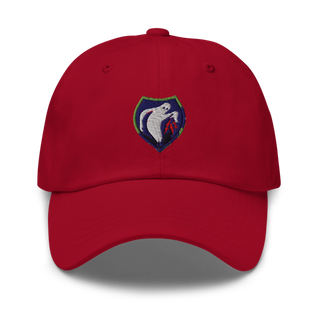 340th Psyop Co. 52894625 Classic Dad Hat | Yupoong 6245CM