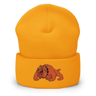 Davenport 34127187 Cuffed Beanie | Yupoong 1501KC