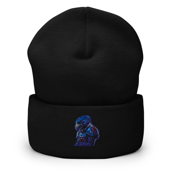 Battlehawks 56996020 Cuffed Beanie | Yupoong 1501KC
