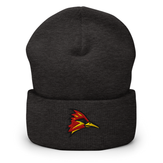 College of the Desert Golf 91548772 Cuffed Beanie | Yupoong 1501KC