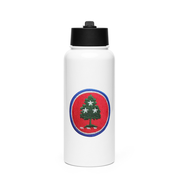 208th MCAS 6752981 Stainless Steel Water Bottle with a Straw Lid