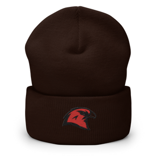 BHS Hawks Dance Team 44132448 Cuffed Beanie | Yupoong 1501KC