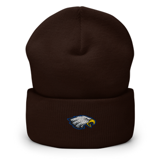 Eagles Cuffed Beanie | Yupoong 1501KC