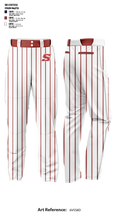 Select Baseball Baseball Pants - 6