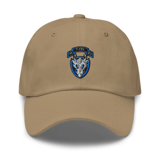 95th cbrn 3rd plt Classic Dad Hat | Yupoong 6245CM