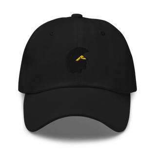 Williamsville north Classic Dad Hat | Yupoong 6245CM