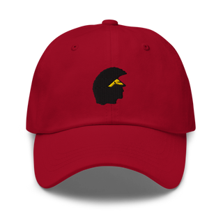 Williamsville north Classic Dad Hat | Yupoong 6245CM