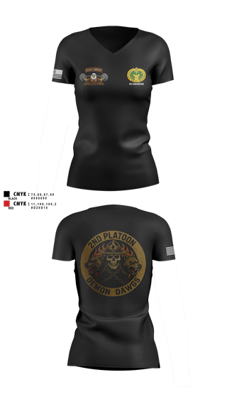 Womens Short Sleeve Vneck Shirt, Echo Company, , Teamtime, Team time, sublimation, custom sports apparel, team uniforms, spirit wear, spiritwear, sports uniforms, custom shirts, team store, custom team store, fundraiser sports, apparel fundraiser