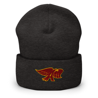 Ankeny High School Dance Team 22157319 Cuffed Beanie | Yupoong 1501KC