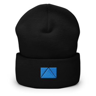 2ND BATTALION 2ND MARINE REGIMENT 94580172 Cuffed Beanie | Yupoong 1501KC