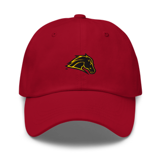 Metea Valley High School Cheer 96396999 Classic Dad Hat | Yupoong 6245CM