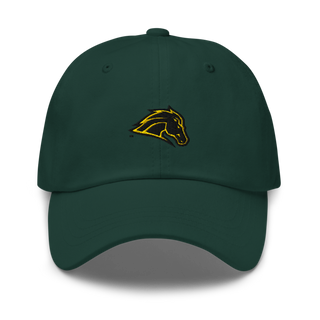 Metea Valley High School Cheer 96396999 Classic Dad Hat | Yupoong 6245CM