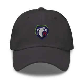 340th Psyop Co. 52894625 Classic Dad Hat | Yupoong 6245CM
