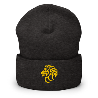 Wichita Lions 53633609 Cuffed Beanie | Yupoong 1501KC