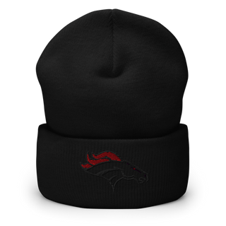 Bullitt East High School Band 45742333 Cuffed Beanie | Yupoong 1501KC