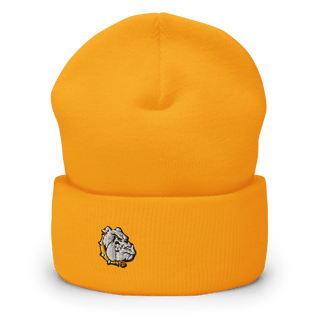 Rudyard Senior High School 10643108 Cuffed Beanie | Yupoong 1501KC