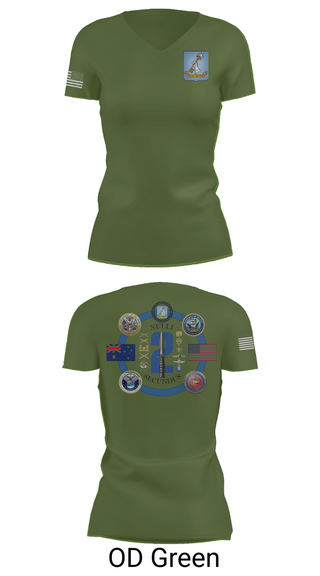 Womens Short Sleeve Vneck Shirt, AMSP Sem 2, , Teamtime, Team time, sublimation, custom sports apparel, team uniforms, spirit wear, spiritwear, sports uniforms, custom shirts, team store, custom team store, fundraiser sports, apparel fundraiser