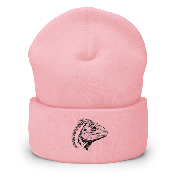 Controversè Cuffed Beanie | Yupoong 1501KC