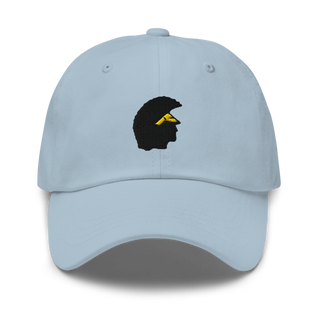 Williamsville north Classic Dad Hat | Yupoong 6245CM