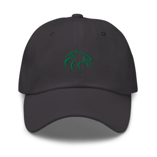 NSU Riverhawks Football 89263546 Classic Dad Hat | Yupoong 6245CM