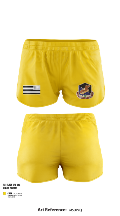 100th Missile Defense Brigade 43971287 Ranger Panties - 101