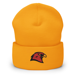 BHS Hawks Dance Team 44132448 Cuffed Beanie | Yupoong 1501KC