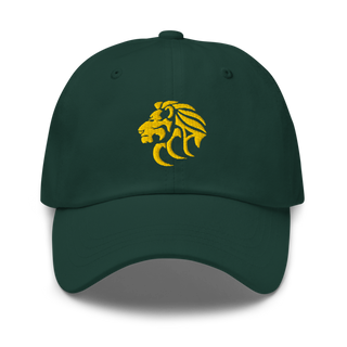 Wichita Lions 53633609 Classic Dad Hat | Yupoong 6245CM