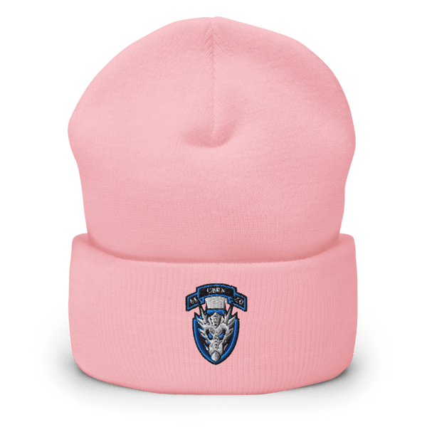 1st Platoon, 95th CBRN 66149028 Cuffed Beanie | Yupoong 1501KC
