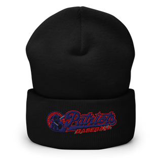 Lenape Valley Patriots 53127834 Cuffed Beanie | Yupoong 1501KC