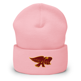 Ankeny High School Dance Team 22157319 Cuffed Beanie | Yupoong 1501KC