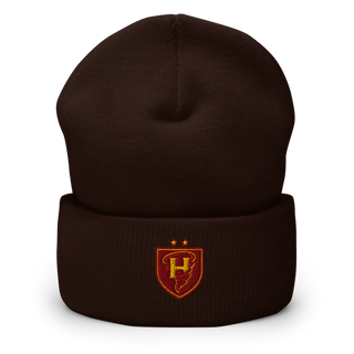 Hickory High School 60691793 Cuffed Beanie | Yupoong 1501KC