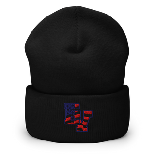 Patriots Cuffed Beanie | Yupoong 1501KC
